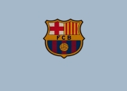 德约科维奇意外战胜加拿大队，爆冷引爆全场！观众掌声雷动