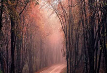 包含精彩备赛！国家队备战欧洲赛事决胜局的词条